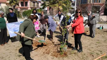 Fethiye Belediyesi Kadın Meclisi Üyeleri Ağaç Dikti