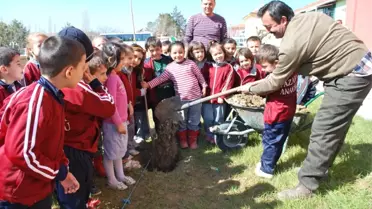 Anaokulu Öğrencileri Fidan Dikti