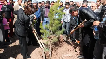 Toplu Konut Bölgesinde Bin Fidan Dikildi