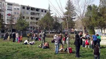 Malkara Kız Teknik ve Meslek Lisesi Ana Sınıfı Öğrencileri Ağaç Dikti