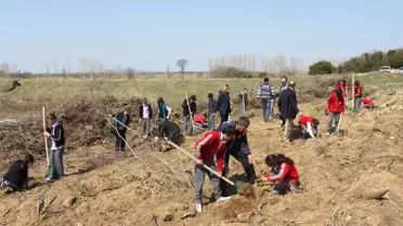 Keşan Belediyesi Mercan'da Fıstık Çamı Fidanı Dikti