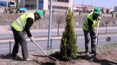 Trafik Kazasında Ölen Üniversiteli Anısına Fidan Dikildi