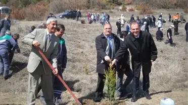 Polis Hatıra Ormanı'nda 250 Sedir Fidanı Toprakla Buluşturuldu