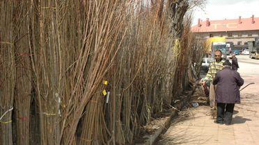 Afgan Muhammed'in Hayat Mücadelesi