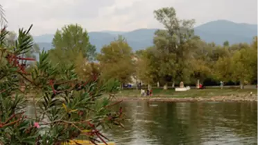 İznik Gölü'nde Tehlike Çanları