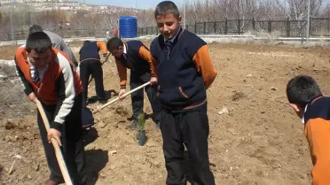 Tarım Lisesi'nden Ağaçlandırma Bayramı