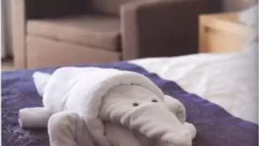 Havlu Katlamanın Püf Noktaları Kitabını Yazdı