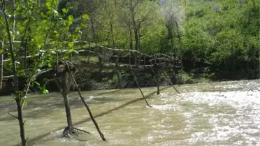 Kalas Köprüde Can Pazarı