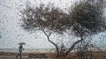 Samsun'da Kış Yarışma Birincisi Fokus'tan