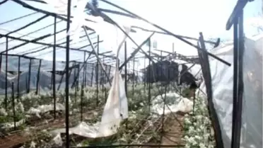 Lodos, Bursa ve Yalova'yı da Vurdu