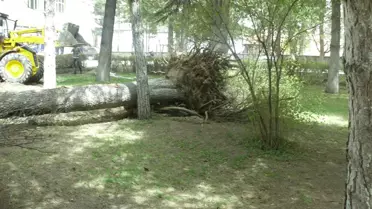 Şuhut'ta Şiddetli Fırtına Etkili Oldu