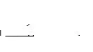 Thy, 21 - 24 Nisan Arasındaki Bazı Uçuşları İptal Etti