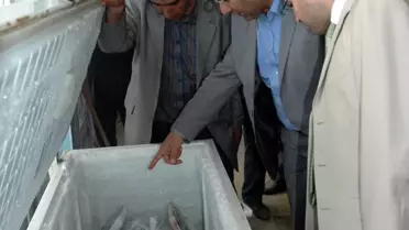 Balıkçı Esnafına Ani Denetim