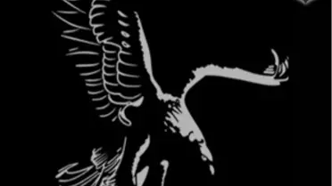 Beşiktaş'tan 'Uefa Disiplin Kurulu'Na Sevk Edilme Açıklaması