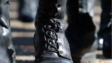 'Virüsler Gibi Darbeler de Şekil Değiştiriyor'