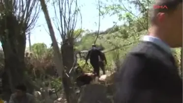 Kestiği Ağacın Altında Kalarak Öldü