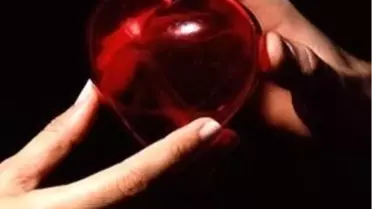 Organ ve Doku Nakli Koordinatörlüğü 2. Sempozyumu