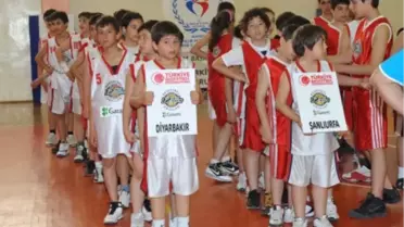 12. Dabo Türkiye Ligi Şöleni