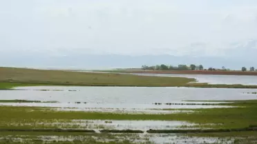 Beyşehir Gölü'nde Seviye Yükseldi, Tarım Alanları Su Altında Kaldı