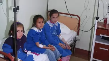 Bolu ve Bartın'da 28 Öğrenci İçtikleri Sütten Rahatsızlandı