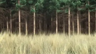 'Doğanın Plastikliği' Şekerbank Açıkekran'da