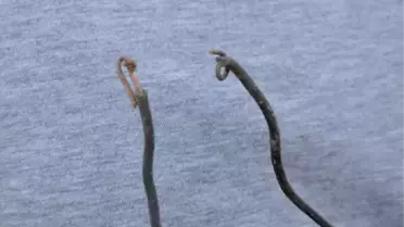 Diyarbakır Valiliği: 4 Bakana Yönelik Bombalı Saldırı Boşa Çıkarıldı