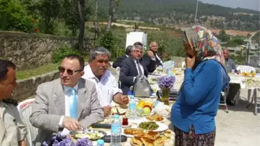 75 Yaşındaki Kadın Kadrolu İş İstedi