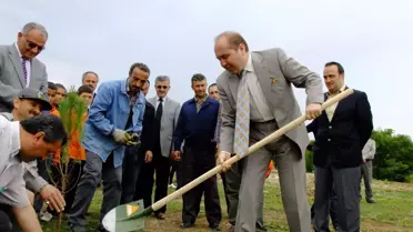 Sarı Çevre Köyüne Bin 200 Fidan Dikildi