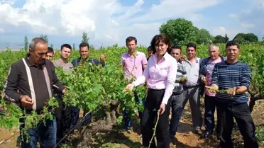 CHP'li Öz, Dolu Felaketini Meclis Gündemine Taşıdı