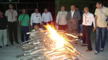 Diyarbakır İzcileri Mahalli Kampta Buluşu