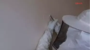 Kadıköy'de Arı İşgali Devam Ediyor 1