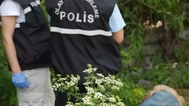 Ağaç Dibinde Öldü, Cesedini Erik Toplayan Çocuklar Buldu