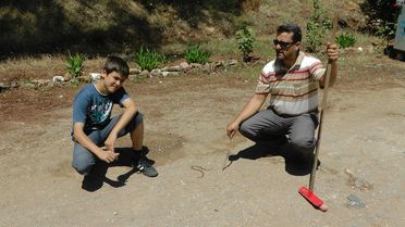 Sıcaklarla Birlikte Yılan ve Akrepler Arttı