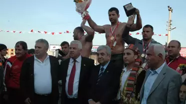 Velimeşe'de Başpehlivan Güngör Ekin Oldu