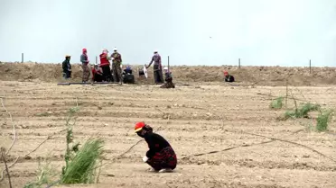 Van'da Ürün Çeşitliliği