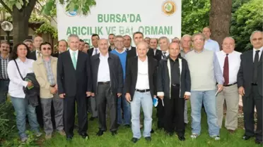 Arıcılıkta Dünya Ortalamasının Gerisindeyiz