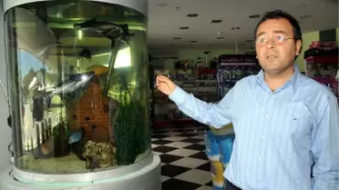 Pet- Shop'un Elektriğini Kesen Avm'ye Suç Duyurusu