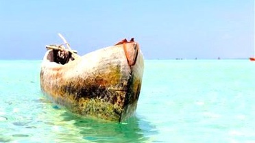 Vıp Turizm ile Afrika'da Safariye Ne Dersiniz?