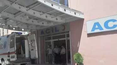 Hayvan Otlatma Meselesi Yüzünden Kavga Çıktı