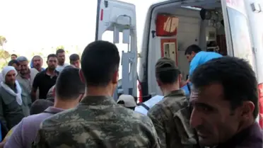 Koyunlar Tarlaya Girdi Aileler Çatıştı