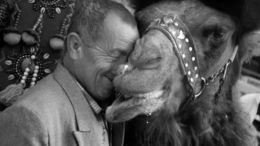 Uluslararası Fotoğraf Yarışması Sonuçlandı