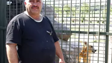 Başkent'te Aşırı Sıcaklar Bunalttı