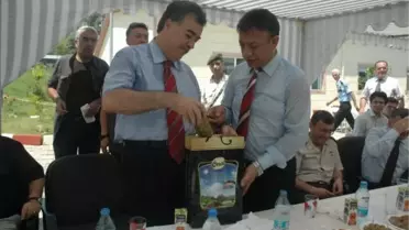 Nazilli Cezaevi'nde Zeytin Dolum Bölümü Açıldı