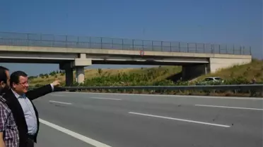 Bu da Yolsuz Köprü