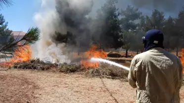 Orman Yangını Tatbikatı Gerçeğini Aratmadı