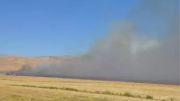 Türkiye- Suriye Sınırında Yangın Paniği