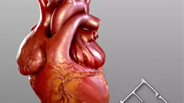 Yaz Geldi Kalbinize Dikkat Edin!