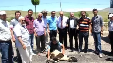 Kop - Vauk Dağı Karayolu Çalışmaları Başladı