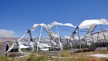 Nusaybin'de Şiddetli Rüzgar Seralara Zarar Verdi