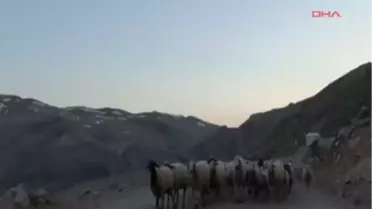 Yaylada Tablo Gibi Kar Manzarası